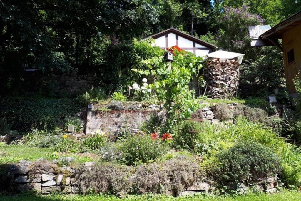 Eine Gemuetliche Ferienwohnung Mit Garten 바트카를스하펜 외부 사진