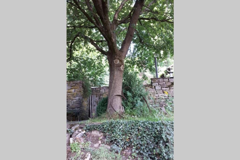 Eine Gemuetliche Ferienwohnung Mit Garten 바트카를스하펜 외부 사진